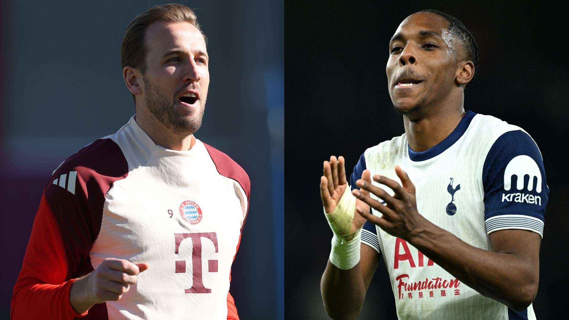 容不得半点 容不得半点