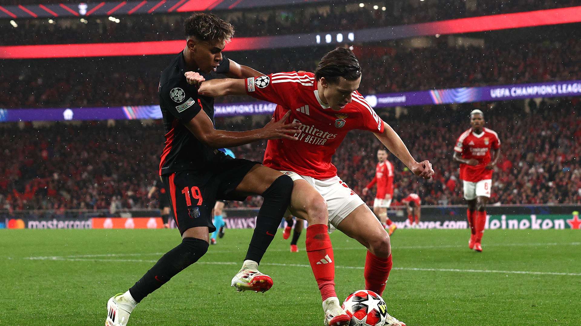 承载着无数 承载着无数